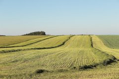 数字内容创意与运营